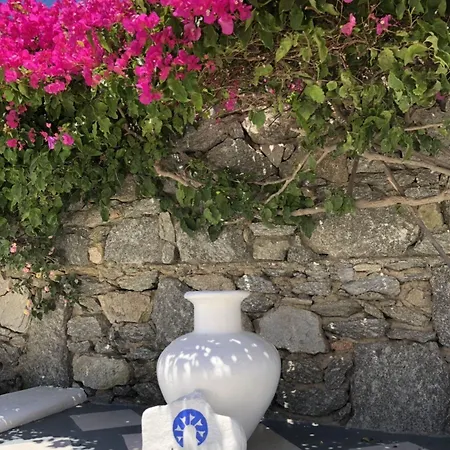 Irene's דירה Mykonos Town