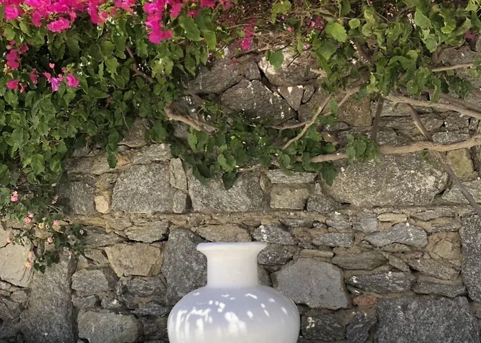 艾琳公寓 公寓 Mykonos Town